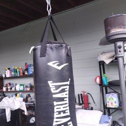 Everlast punching bag
