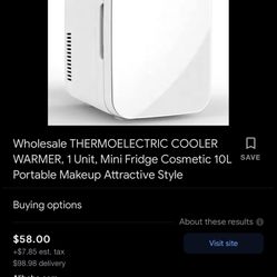 Mini Fridge ( Cool Mode ) (warm Mode)