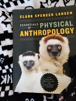 Essentials Of Physical Anthropology By Clark Spencer