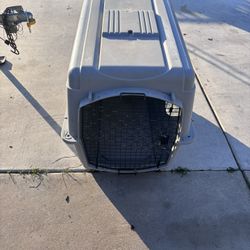 Animal Kennel