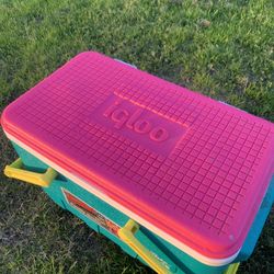 IGLOO PICNIC COOLER