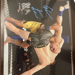 Glover Teixeira Signed 8 X 10