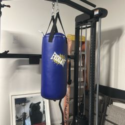 Everlast Punching Bag No Stand