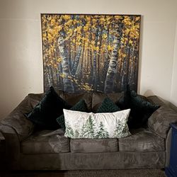 Couch and Pillows/ Sofa y Almohadas 