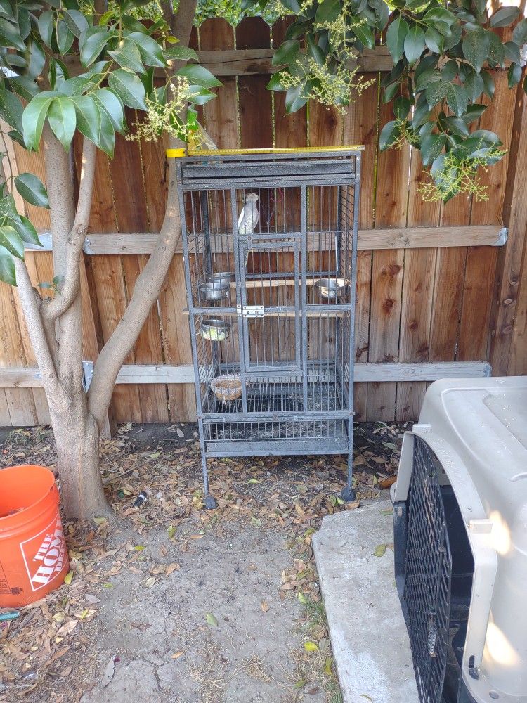 Bird Cage
