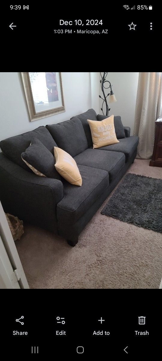 Charcoal Gray Sofa