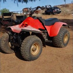 1985 Suzuki Quadrunner