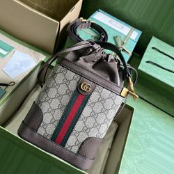 Gucci Ophidia City Bag 