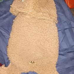 UGG dog Outfit