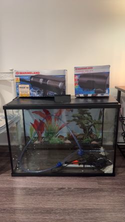 Aquarium, 39 gallon full set up