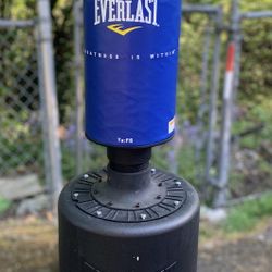 Everlast Powercore Fitness Training Bag