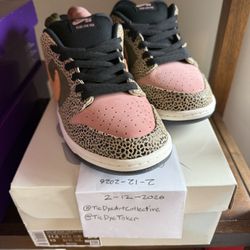 Nike SB Arts-Rec Dunk Size 11.5