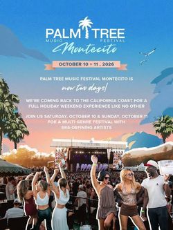 Palm tree