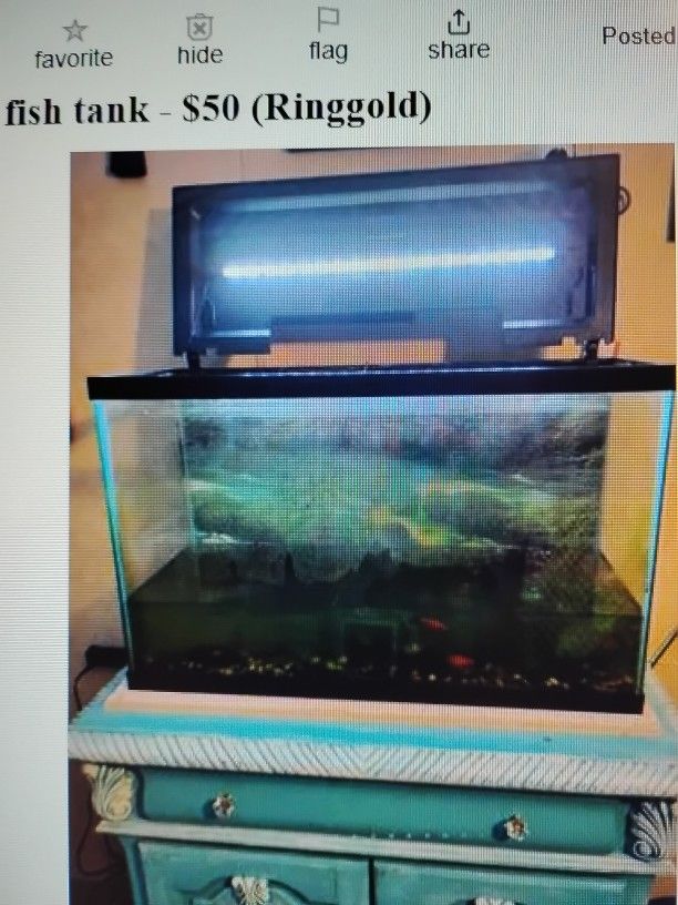 30 Gallon Fish Tank With Hood And Lights.