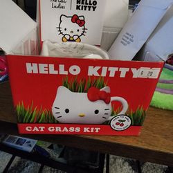 Hello Kitty Grass Plant