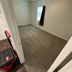 New Carpet For Sale 