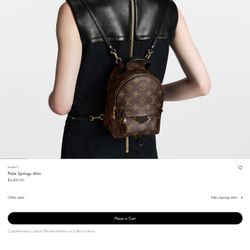 Louis Vuitton Backpack 