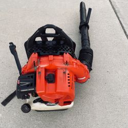 Commercial Gas Blower 