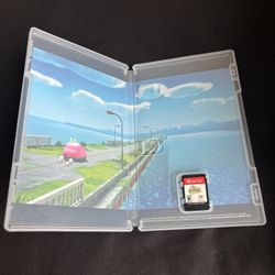Nintendo Switch Kirby 
