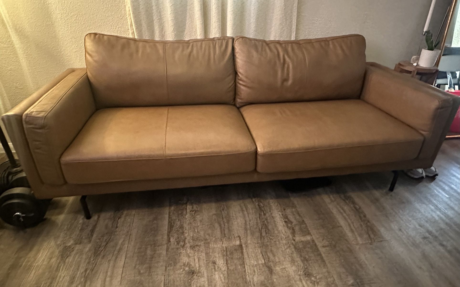 Leather Couches