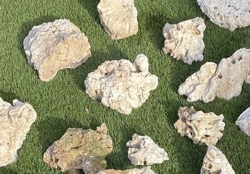 Live Rock For Fish Tanks.