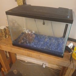 20 Gallon Fish Tank