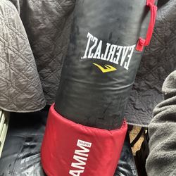 MMA OMNISTRIKE 80lb Heavy PUNCHING BAG