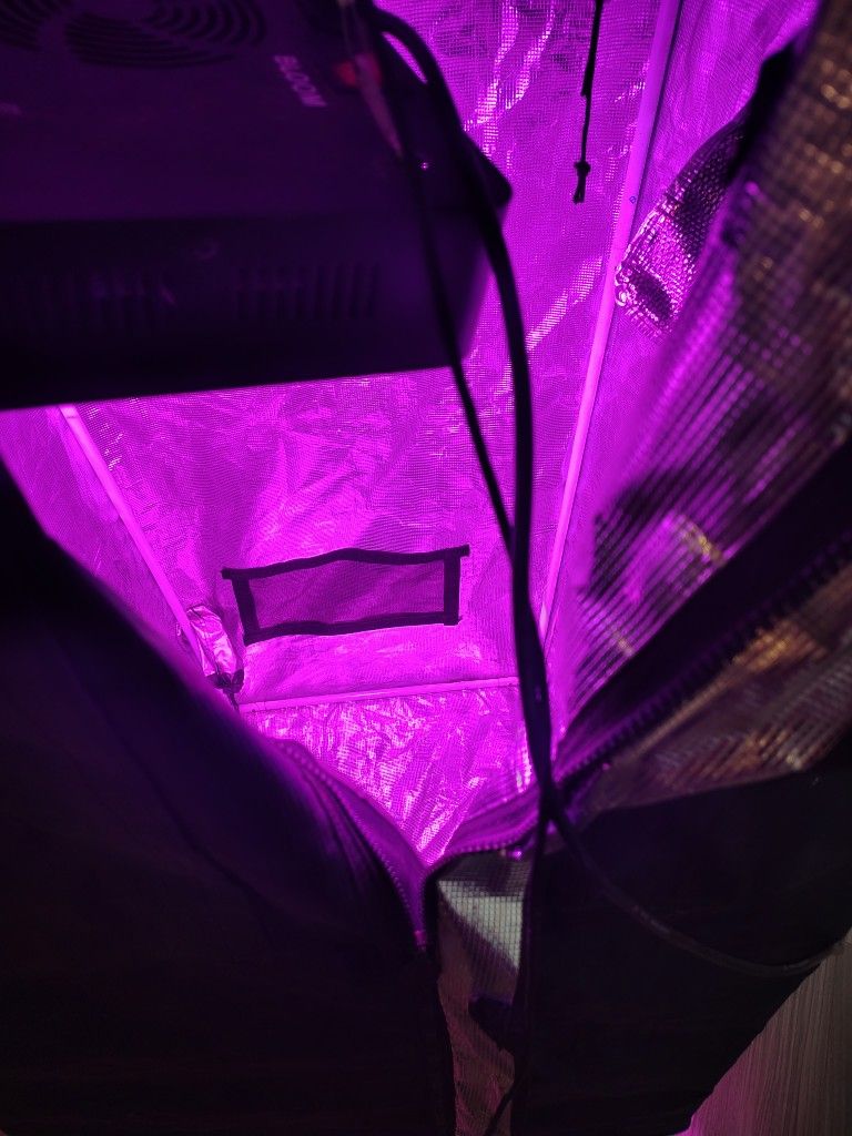 Weed Growing Tent And Hydro Setup