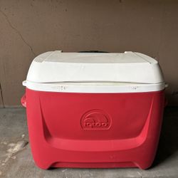 Large Igloo Cooler 