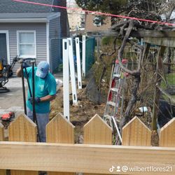 Fence 
