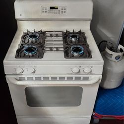 🔥🔆♨️☆GE Profile☆♨️🔆🔥 Bisque LP Gas Stove  