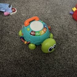Crawling Musical Turtle 