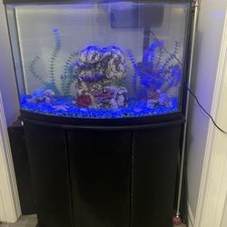 36 Gallon Bow Front Aquarium With Filter and Decorations 