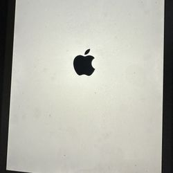 Apple ipad mini