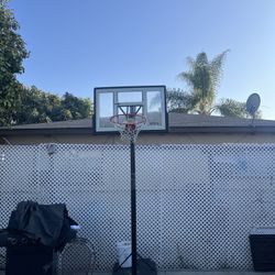 Basketball Hoop