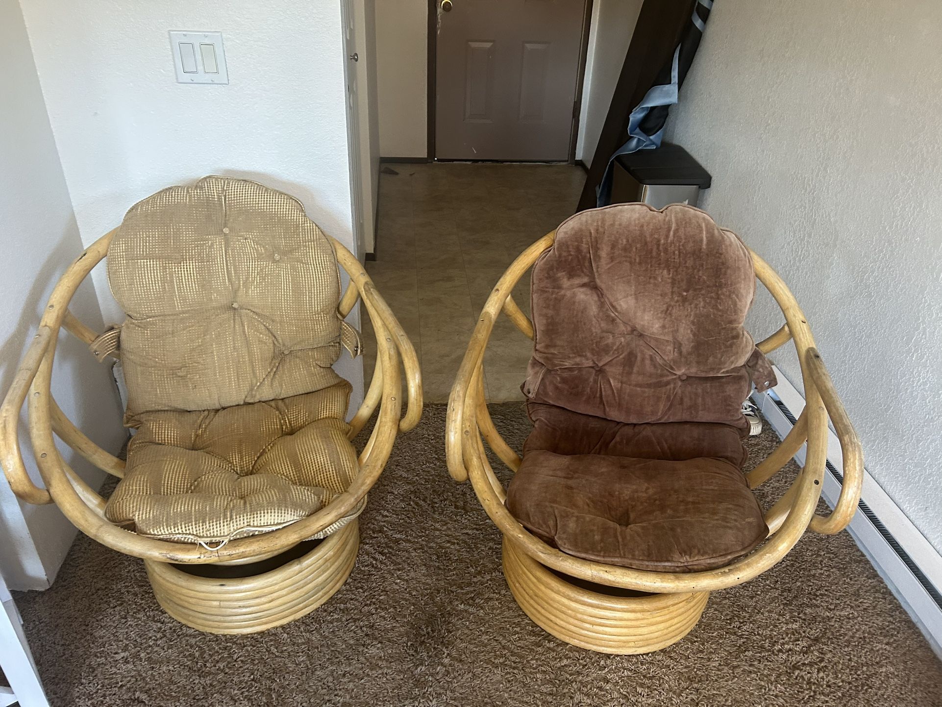 Round Cane Chairs