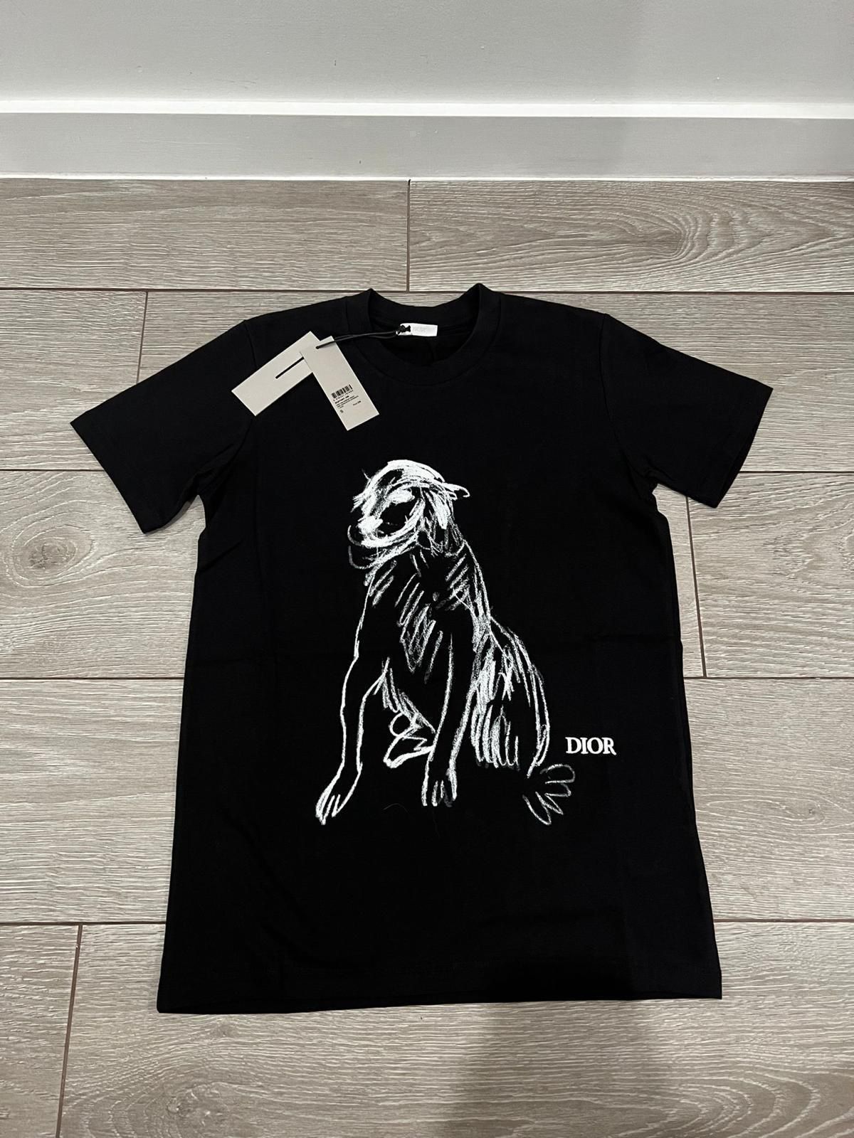 Dior New Season Tshirt Any Colors