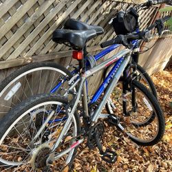 Diamondback And Schwinn Men Bikes.