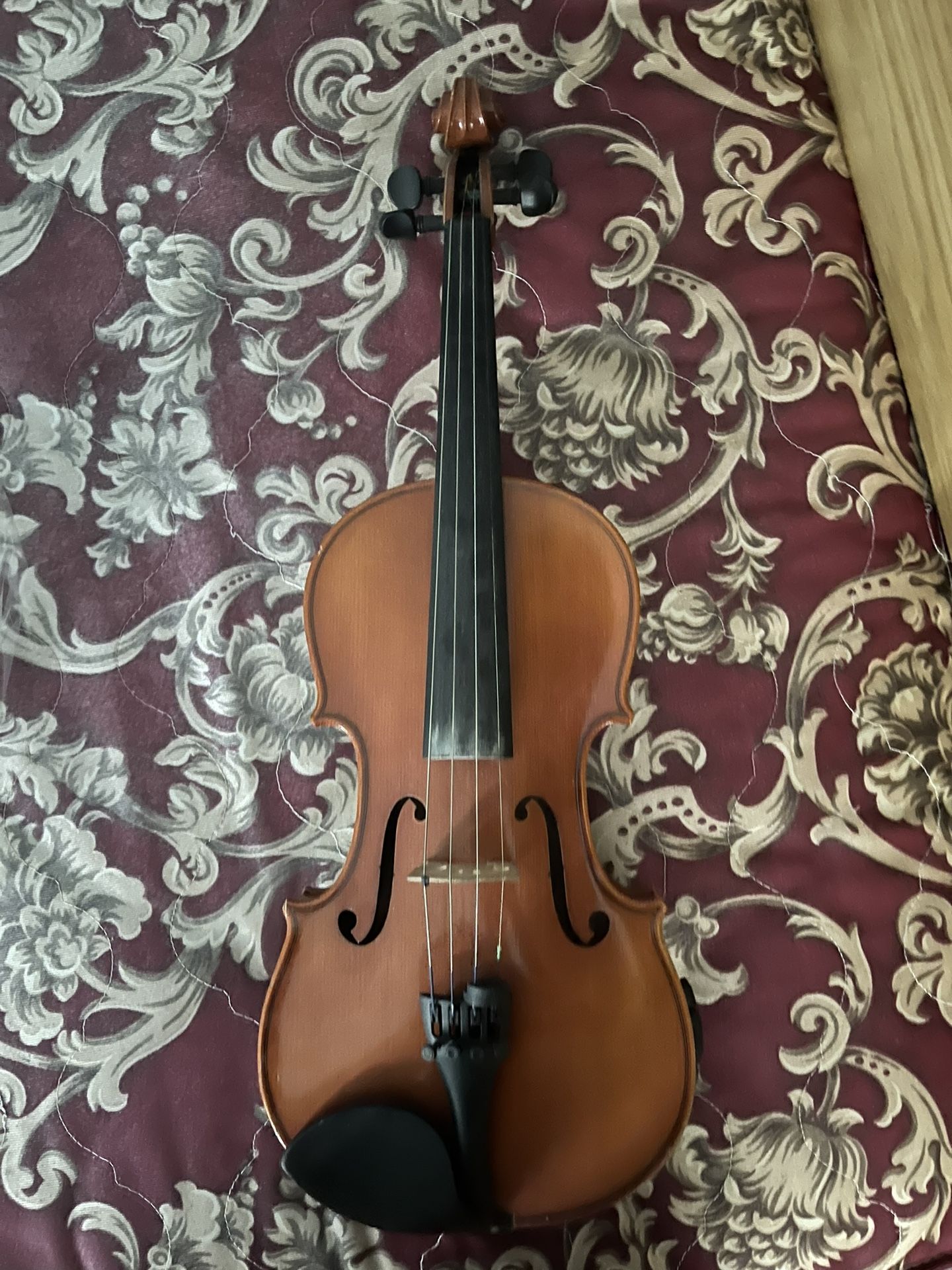 Violin