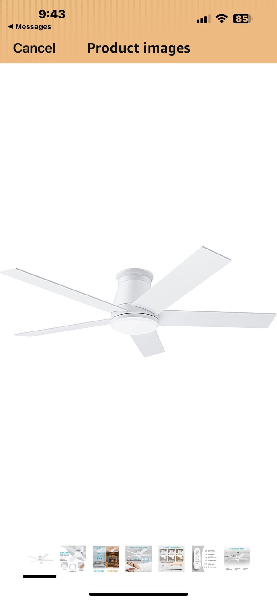 Ceiling fan