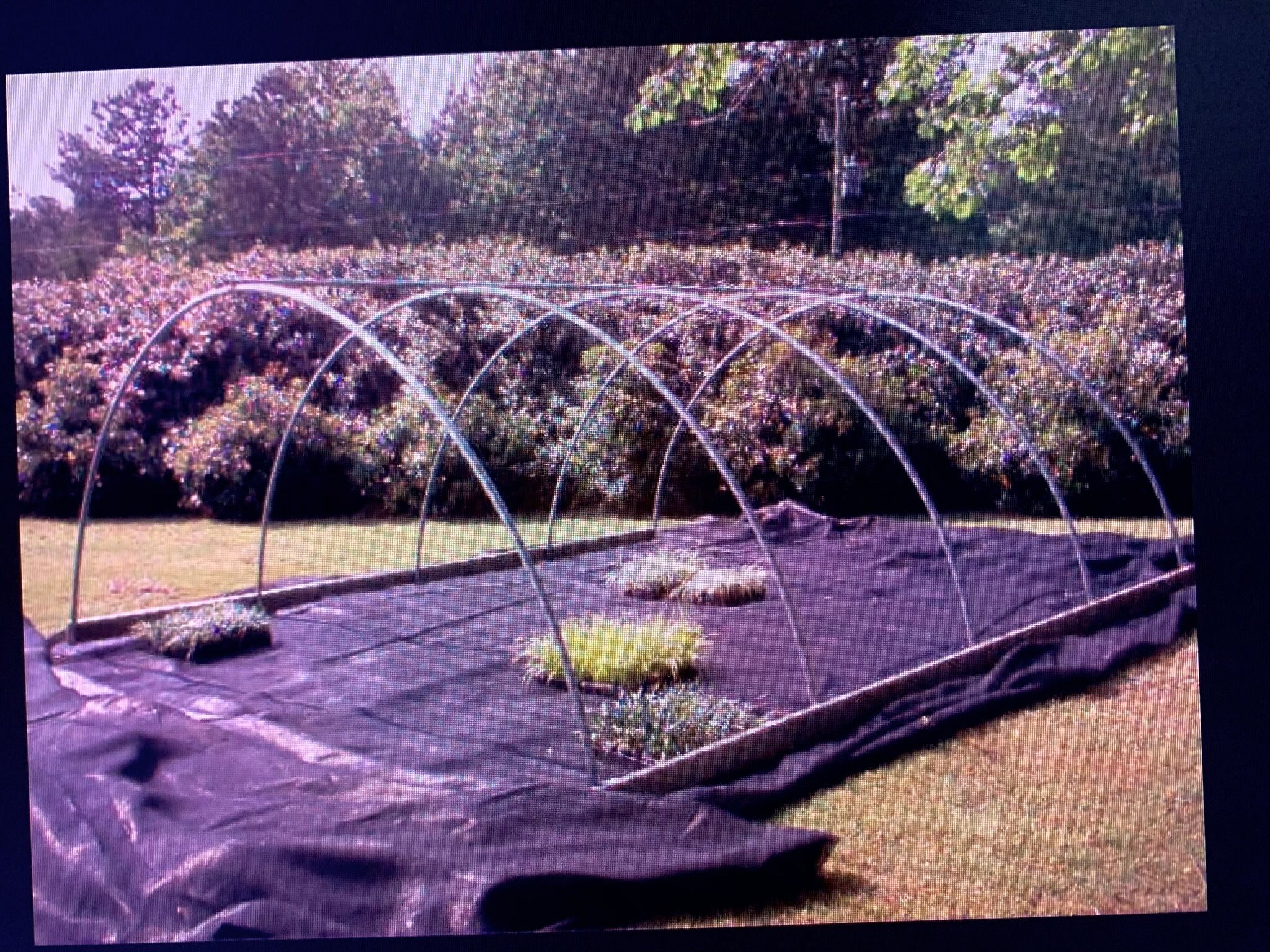 14x20 Greenhouse Kit or Storage Shed