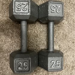 25lb Weights