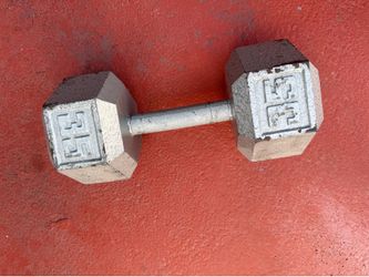 35.lbs single dumbbell