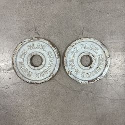 5lb Weight Plates