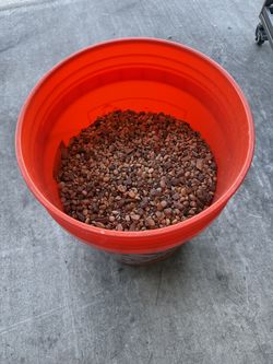 5 gal Bucket of fish tank gravel