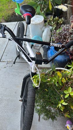 Elite bmx