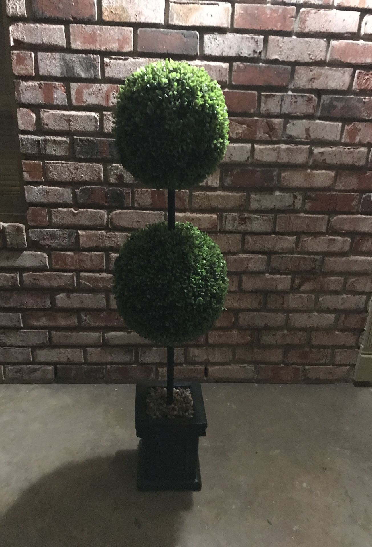ITS 2 TOPIARY TREES