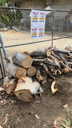 Firewood’s