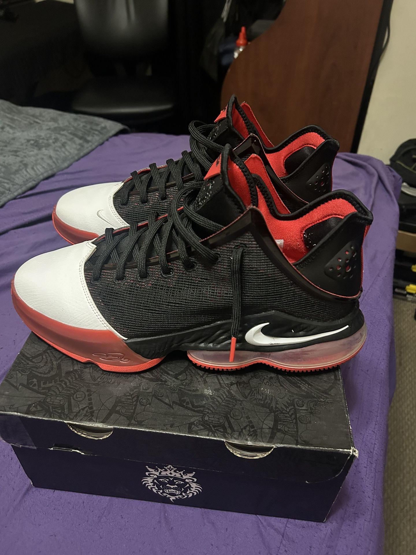 LeBron Nike Basketball Shoes