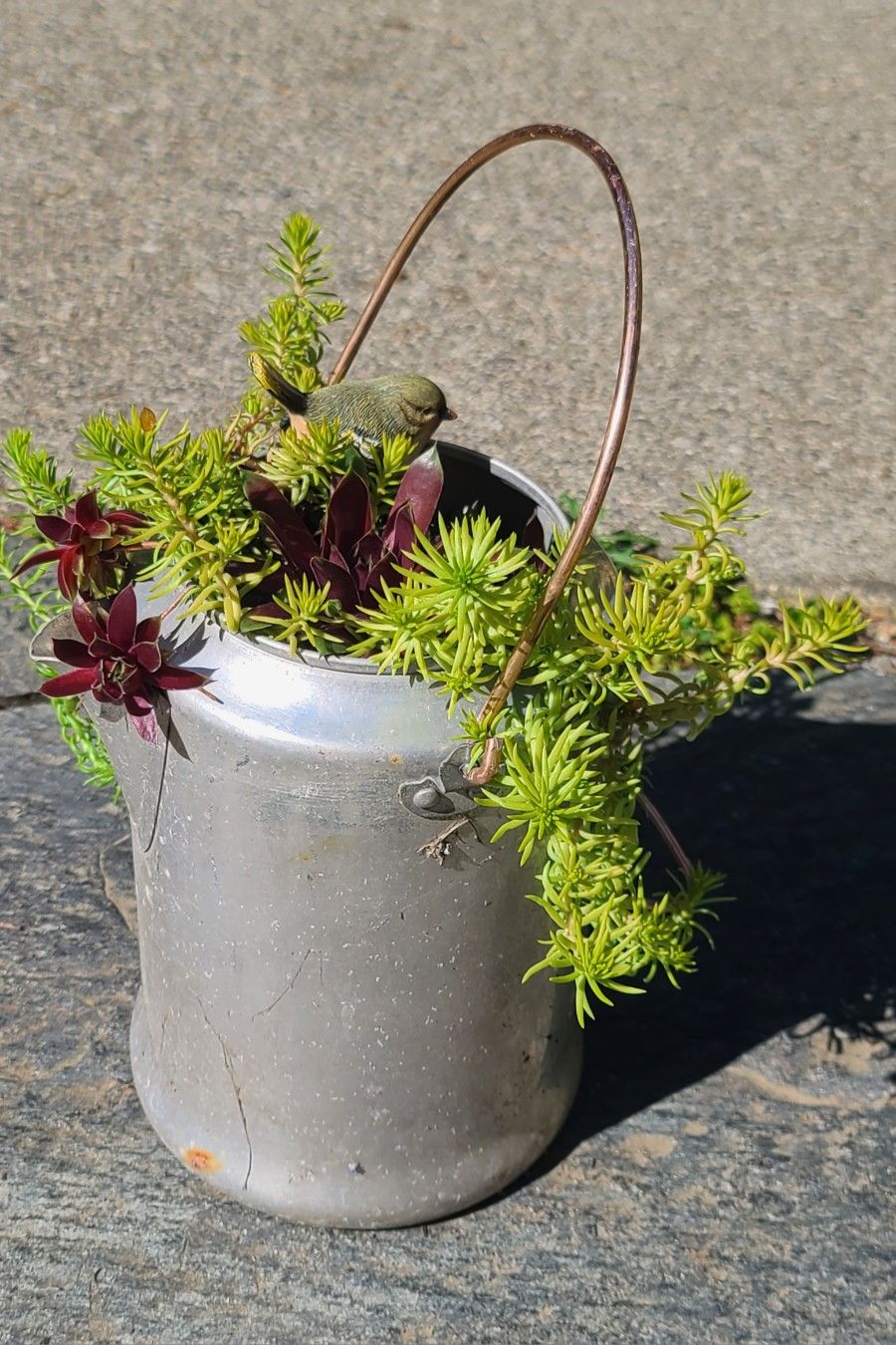 Vintage Coffee Pitcher With Succulents And A Bird Figurine